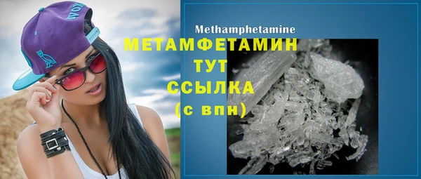 ГАЛЛЮЦИНОГЕННЫЕ ГРИБЫ Козловка