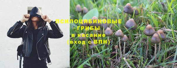 прущая мука Карталы