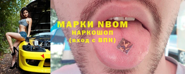 ГАЛЛЮЦИНОГЕННЫЕ ГРИБЫ Козловка