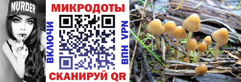 что такое   Канаш  Галлюциногенные грибы GOLDEN TEACHER 