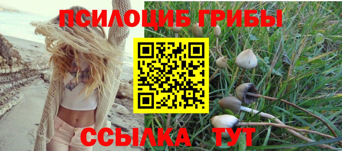 Псилоцибиновые грибы Magic Shrooms Канаш