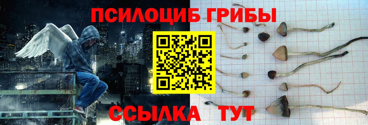 Псилоцибиновые грибы GOLDEN TEACHER  Вход с VPN  Канаш  Псилоцибиновые грибы прущие грибы 